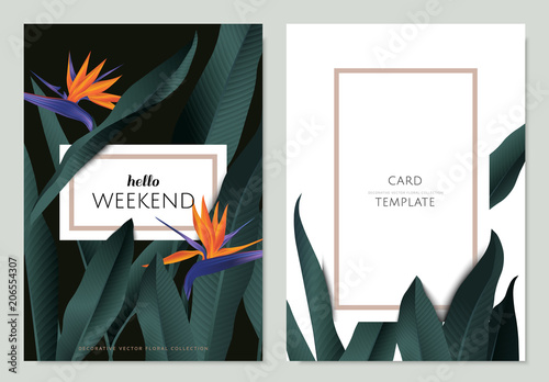 Greeting/invitation card template design, Bird of paradise flowers with leaves on black and white background with frame