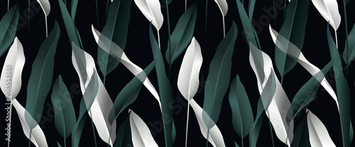 Tropical plant seamless pattern, white and green Bird of paradise leaves on b...
