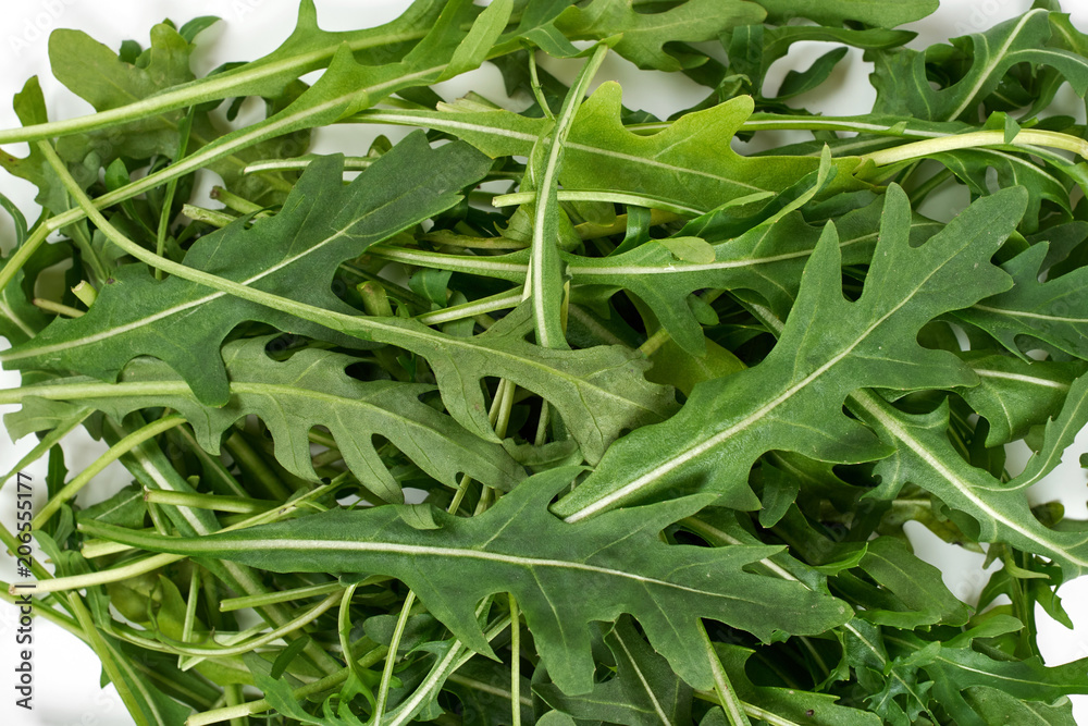 green fresh ruccola isolated on white background, close up studio shot green fresh ruccola isolated on white background, close up studio shot