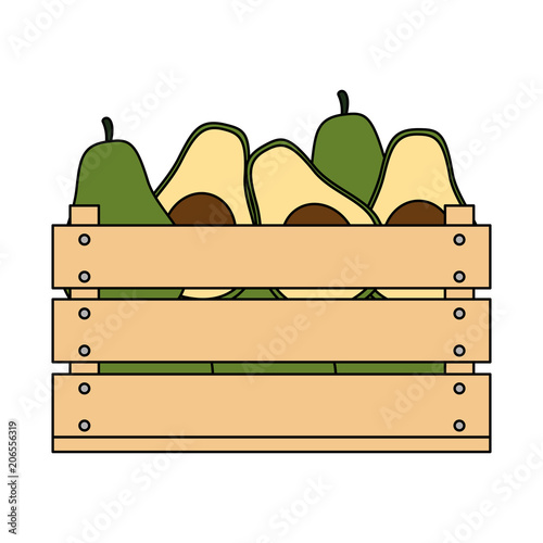 fresh avocados in wooden box vegetarian food vector illustration design