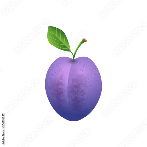 plum with green leaf