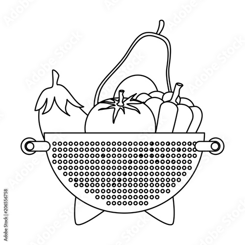 fresh vegetables in kitchen colander vector illustration design