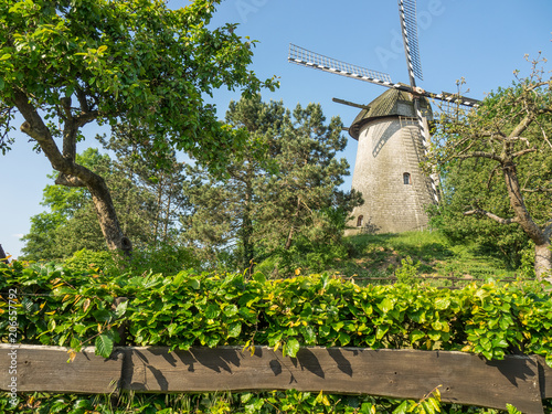 Windmühle in Anholt photo