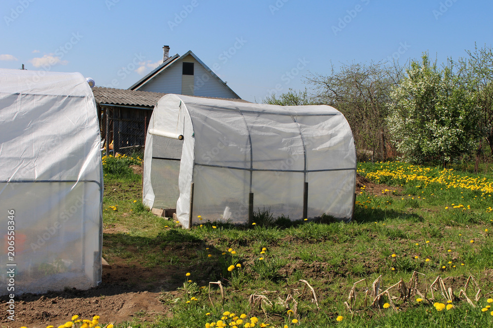 Plastic greenhouses for growing vegetables on the farm field Plastic greenhouses for growing vegetables on the farm field