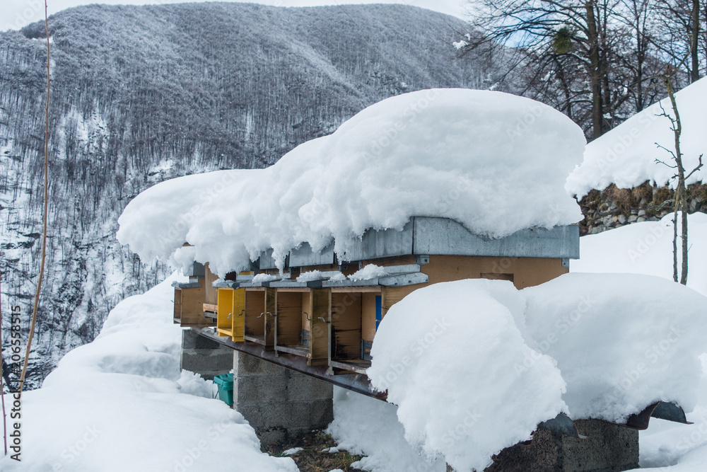 custom made wallpaper toronto digitalSnow