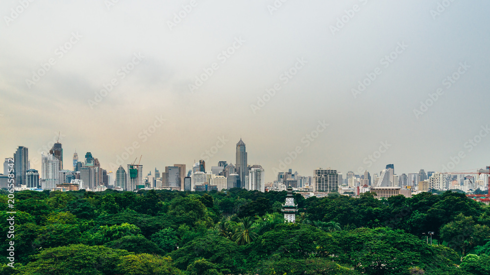 Bangkok city with sky for background. Cityscape of Bangkok,Thailand.