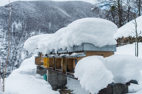 Wallpaper Mural Snow Torontodigital.ca