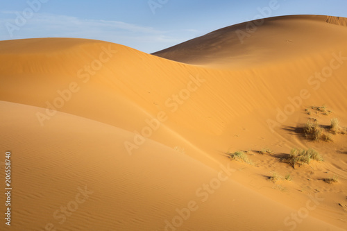sand hills with light and shadows in Sahara desert in Morocco
