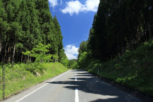 森林の中の一本道ドライブ青空stock Photo Adobe Stock