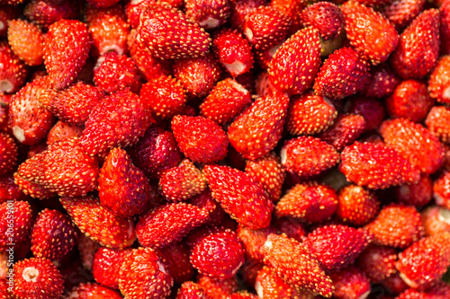 Wild strawberries background up view