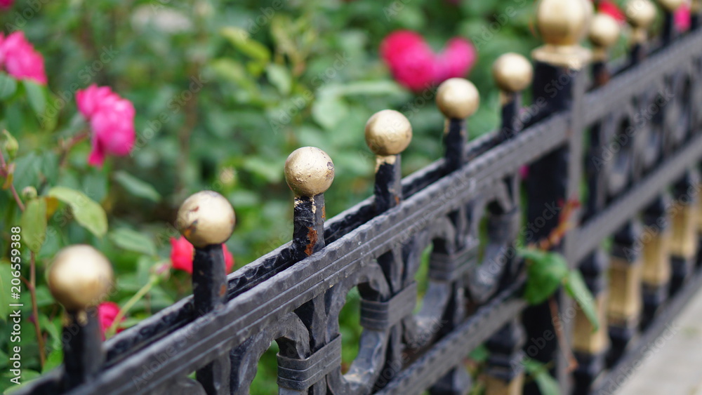 garden iron fences protecting flowers garden iron fences protecting flowers