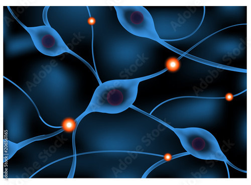 nerve system sending a signal graphic animation / Neuron