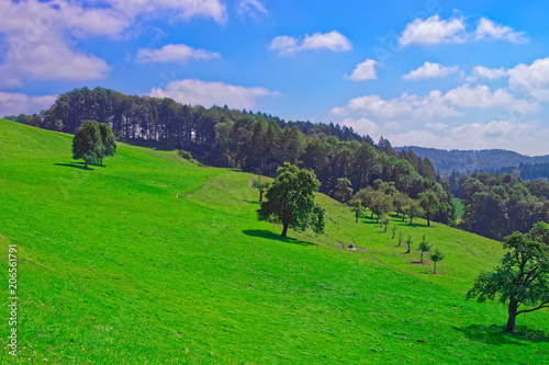 Nature of Turbenthal village with Swiss Alps in Winterthur photo