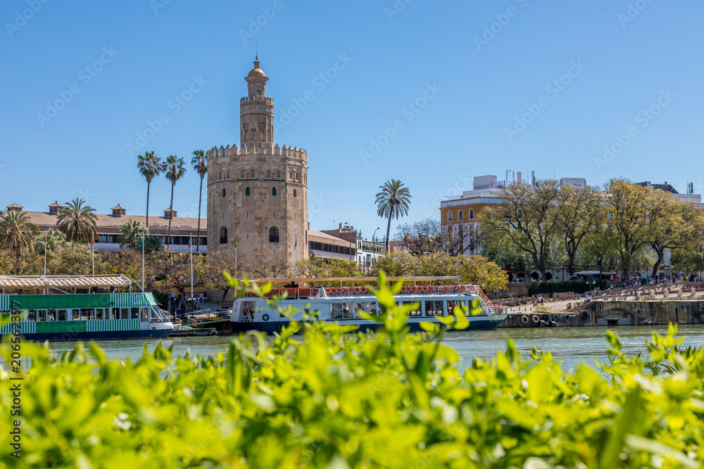 Fototapeta premium Torre del Oro à Séville
