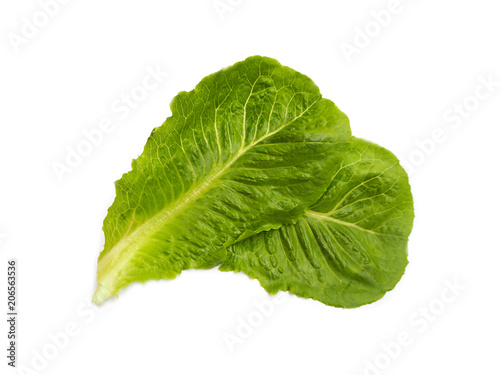 Fresh lettuce leafs isolated on white background