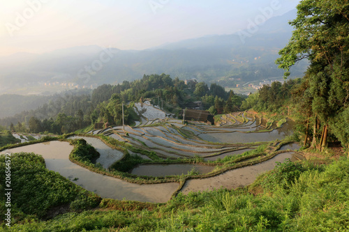 The landscape of the purple magpie terraces.