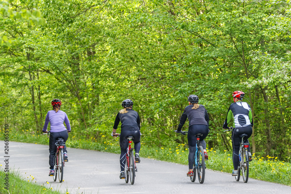 Women cycling on a road in a deciduous forest