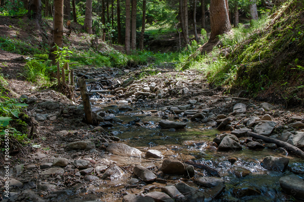 Crystal clean little creek scenic view on the Carpathian mountains. Crystal clean little creek scenic view on the Carpathian mountains.