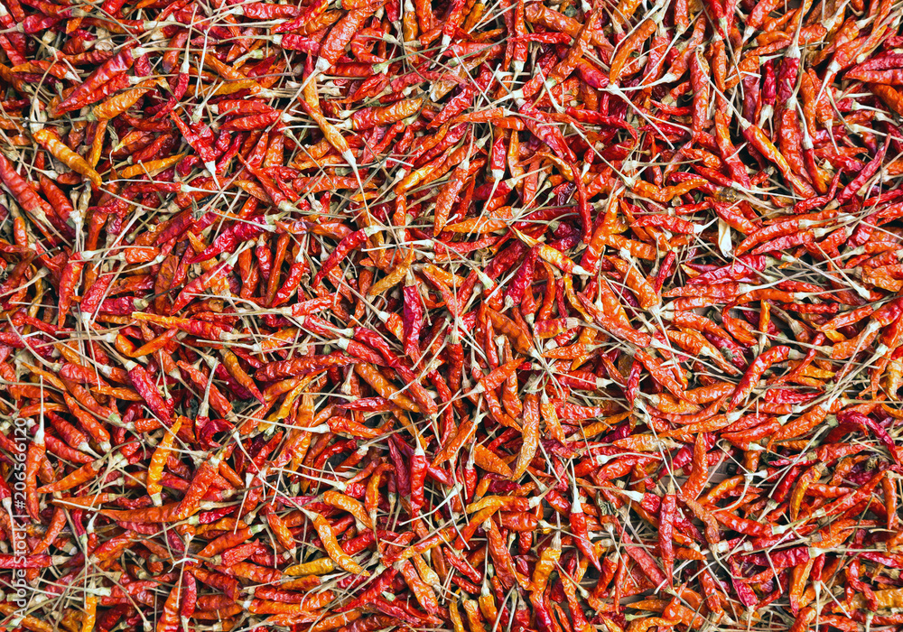 Fototapeta premium The color of dried peppers.