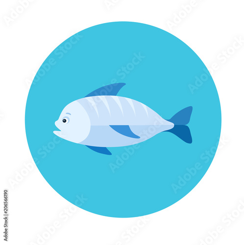 Sea fish flat icon
