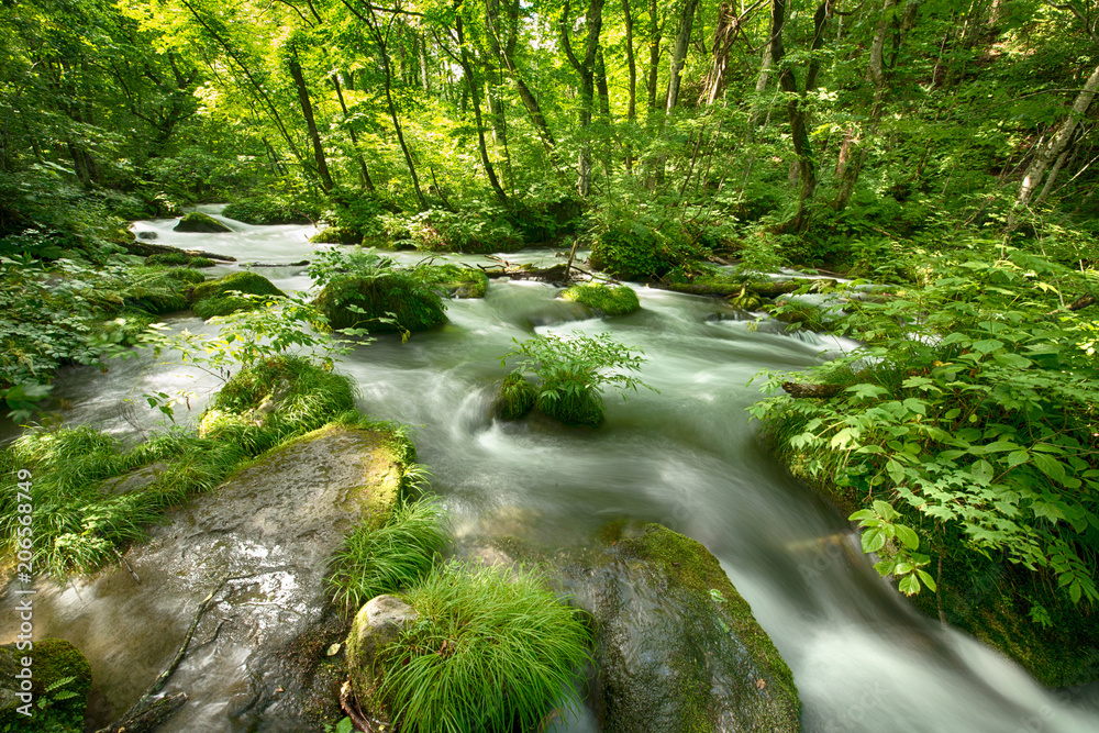 Obraz premium zdjęcie