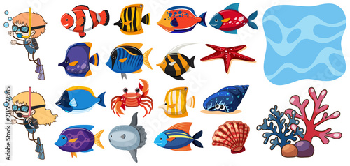 A Set of Fish and Water Element