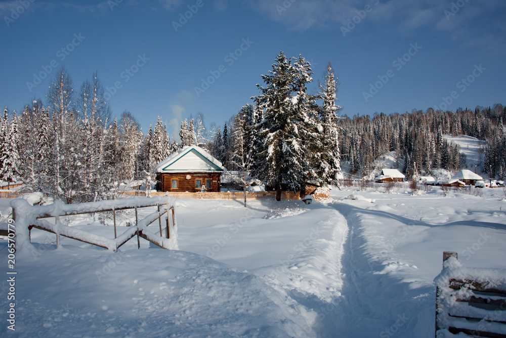 Russia. The South Of Western Siberia. Sunny winter day in mountain Shoria. Russia. The South Of Western Siberia. Sunny winter day in mountain Shoria.