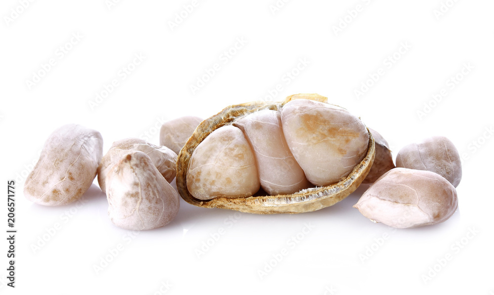 peanut on white background peanut on white background