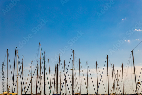 the masts of sailboats