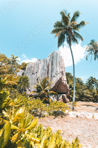 Tropical Beach in Seychelles