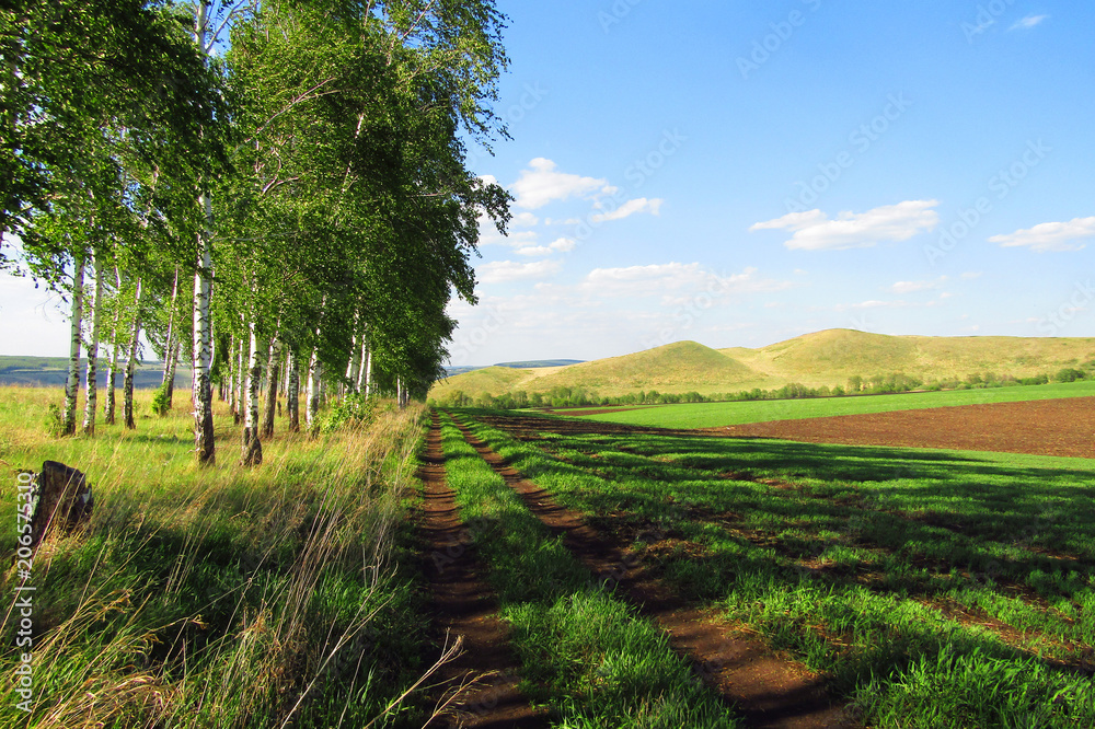 Agricultural field, trees and hills. Beautiful summer landscape on a sunny day.
