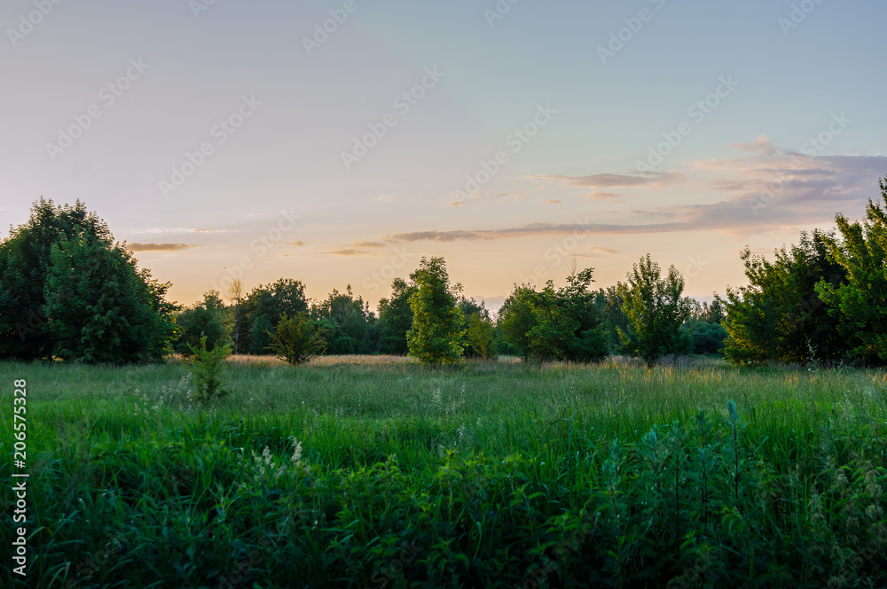 Obraz premium Krajobraz