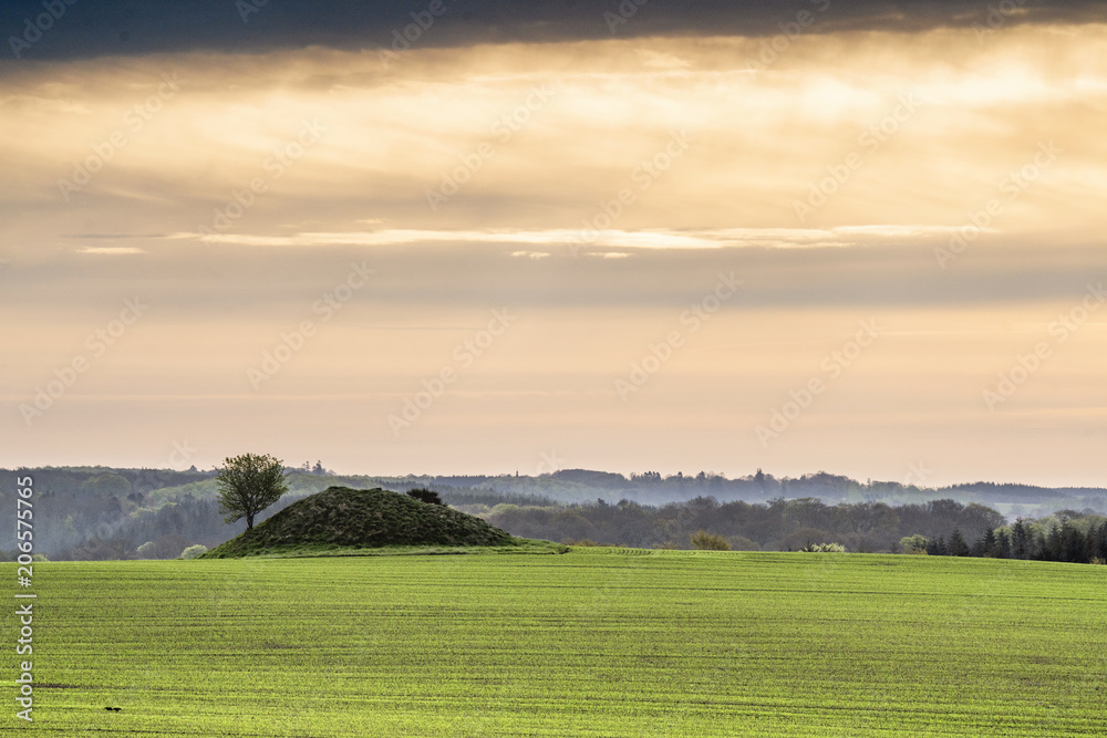 Historic barrow hill on a green field in Denmark