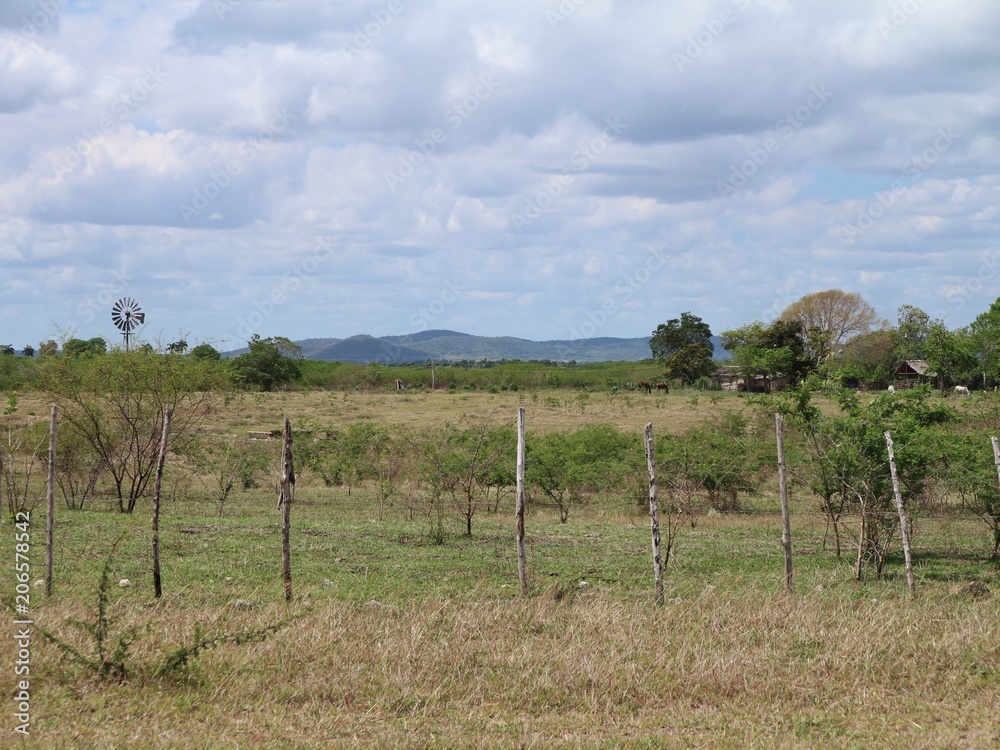 Feld - Landwirtschaft auf Kuba, Karibik