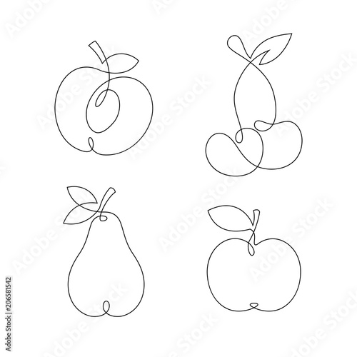 One line continuous fruits illustration. Vector.