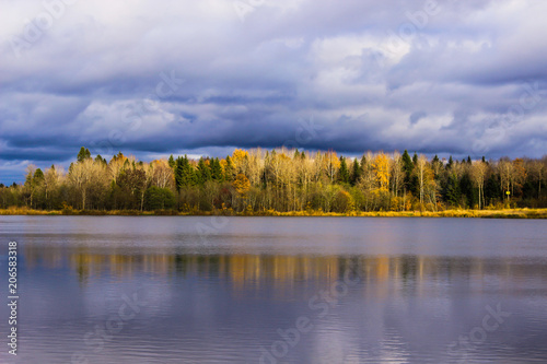 autumn landscape, blue sky,yellow the forest and the lake 
