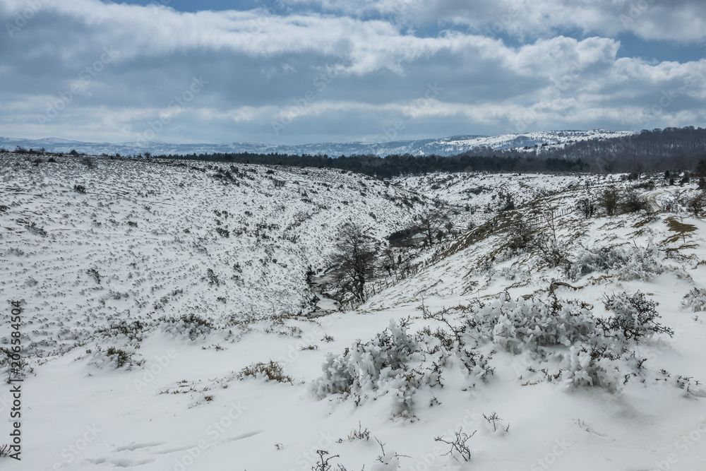 Frozen fields in Winter, Delika river Orduna, Basque Country Frozen fields in Winter, Delika river Orduna, Basque Country