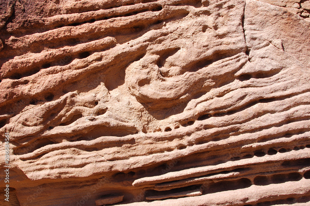 Fototapeta premium Wierdly textured cliff formation in the Bears Ears wilderness of the Southern Utah desert