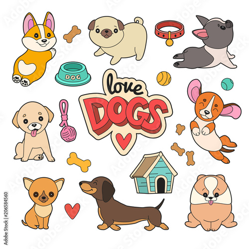 Puppies patches collection. Vector illustration of cute cartoon different breeds dogs, such as Corgi, French Bulldog, pug, Beagle, Labrador, Chihuahua and Dachshund. Isolated on white.