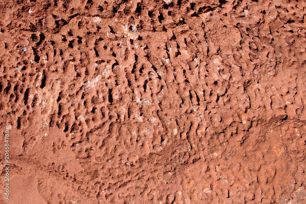 Wierdly textured boulder formation in the Bears Ears wilderness of the Southern Utah desert