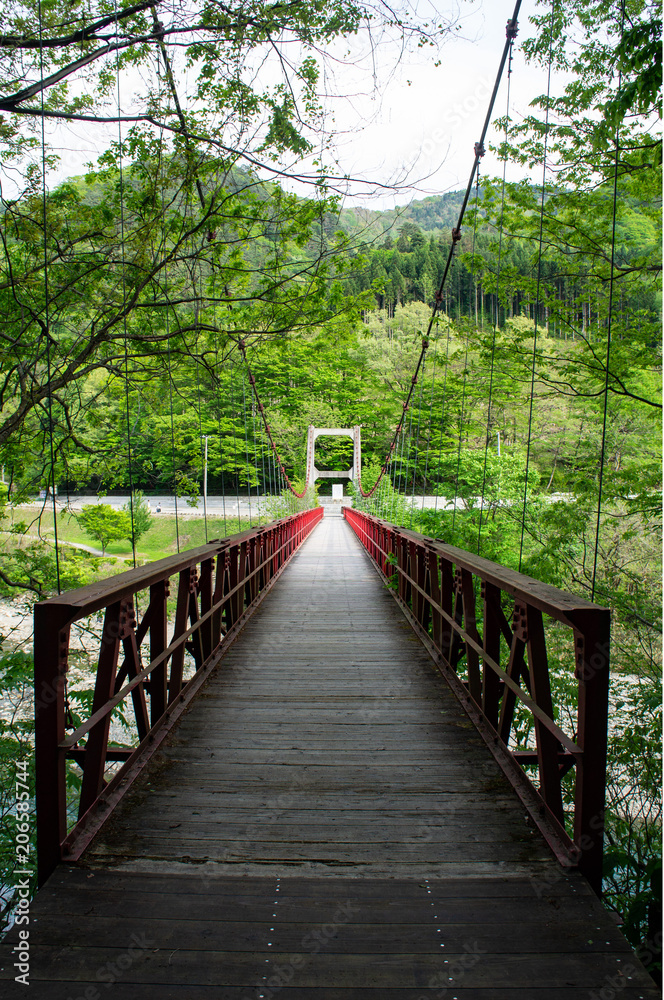 Obraz premium 抱返り渓谷の神の岩橋