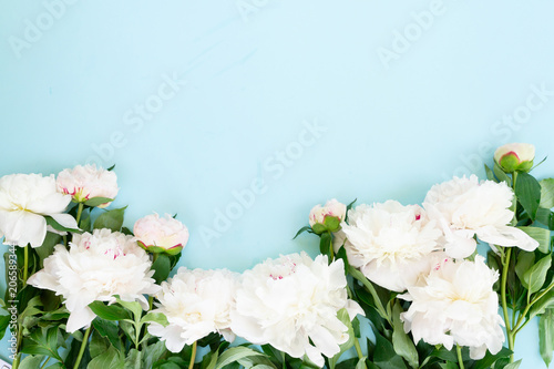 Fototapeta Naklejka Na Ścianę i Meble -  Fresh peony flowers