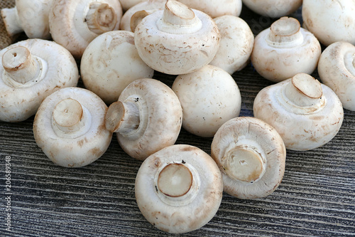 edible culture mushroom    