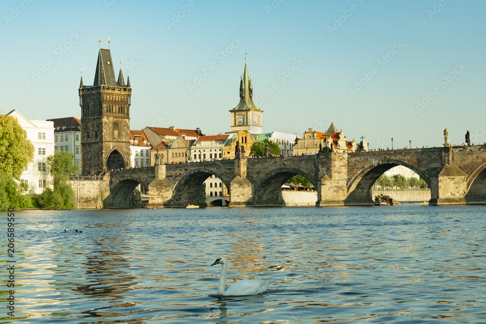 Prague, Charles Bridge and tower by the River with Swan
