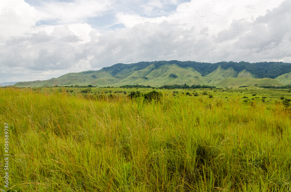 Rolling hills, lush green grass and soft white clouds in countryside of Republic of Congo, Central Africa Rolling hills, lush green grass and soft white clouds in countryside of Republic of Congo, Central Africa