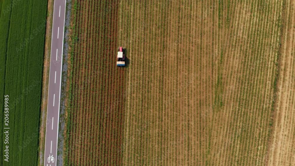Aerial: tractor working on cultivated fields farmland, agriculture occupation, top down view of lush green cereal crops, sprintime in Italy, cycling road crossing countryside Aerial: tractor working on cultivated fields farmland, agriculture occupation, top down view of lush green cereal crops, sprintime in Italy, cycling road crossing countryside