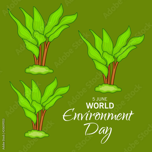 World Environment Day.