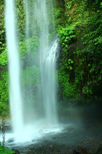 Beutiful View at Tiu Kelep Waterfall NTT Indonesia