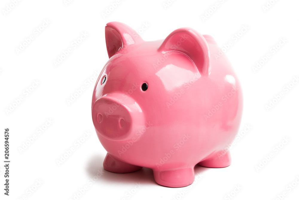 pink pig isolated