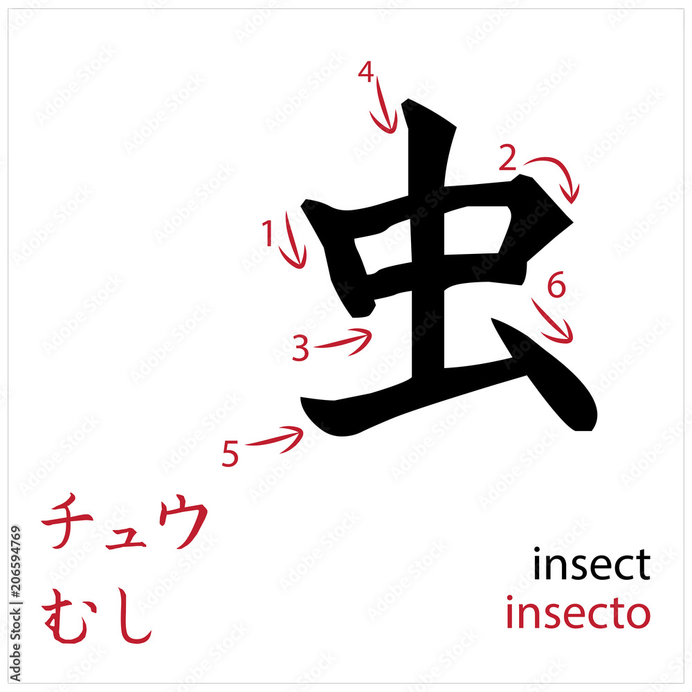 Insect. Japanese flash card vector design for students Insect. Japanese flash card vector design for students